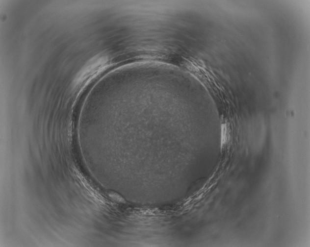 X0000086890243200704231135