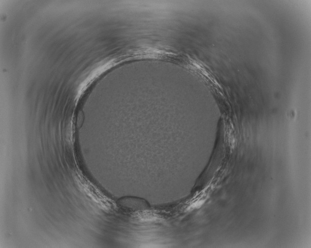 X0000086890244200704231135