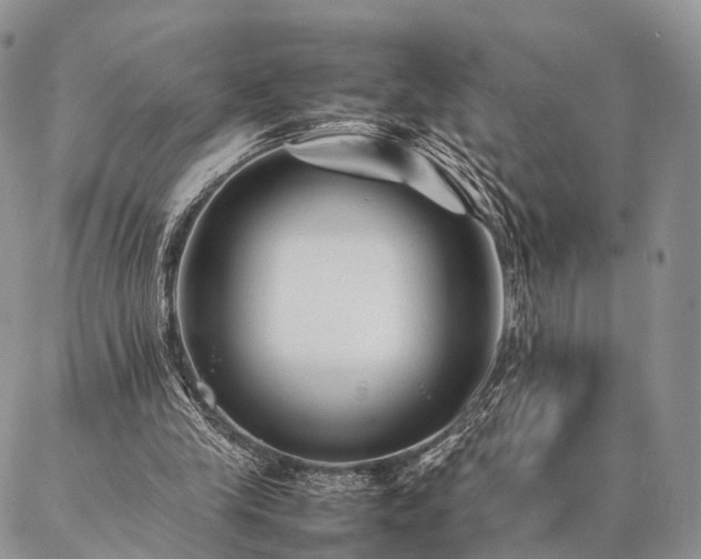 X0000086890245200704231135