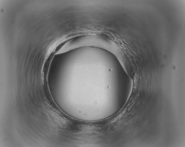 X0000086890246200704231135