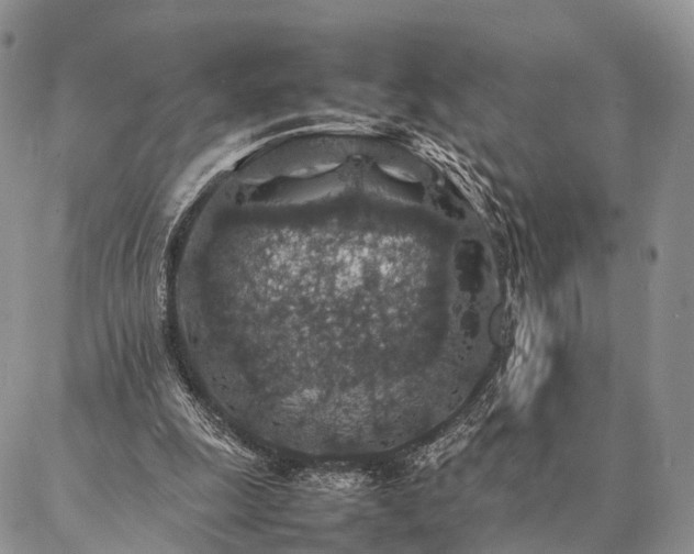 X0000086890247200704231135