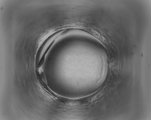 X0000086890248200704231135