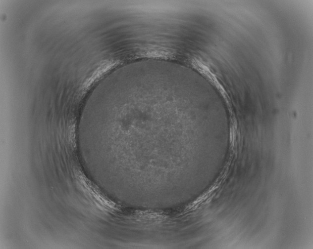 X0000086890249200704231135