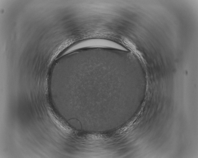 X0000086890250200704231135