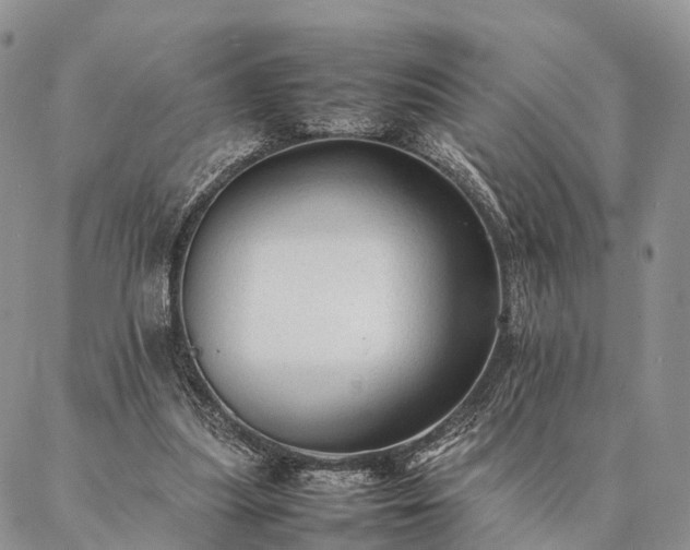 X0000086890251200704231135