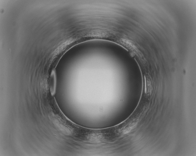 X0000086890252200704231135