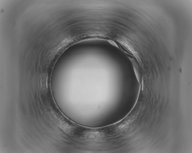 X0000086890253200704231135