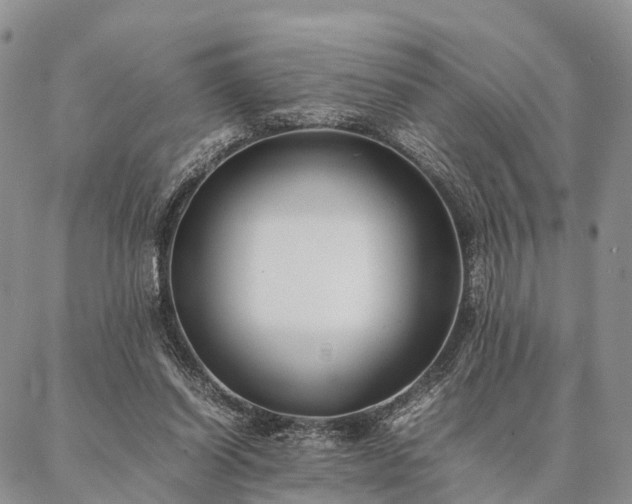 X0000086890254200704231135