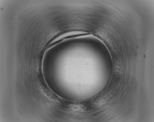 X0000086890255200704231135