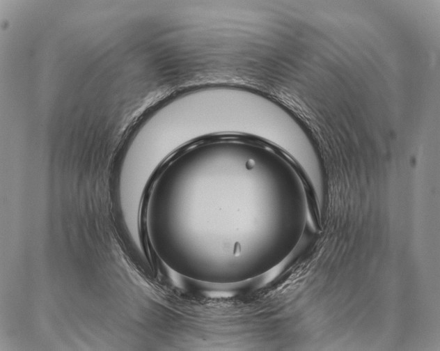 X0000086890256200704231135