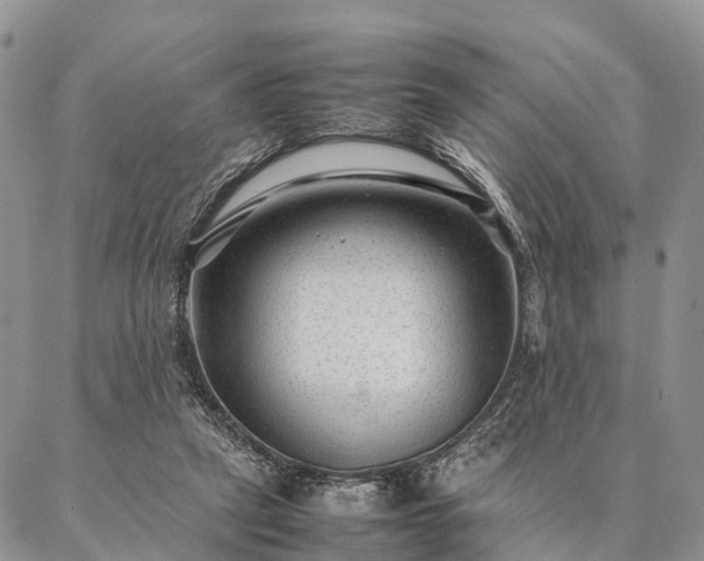 X0000086890257200704231135