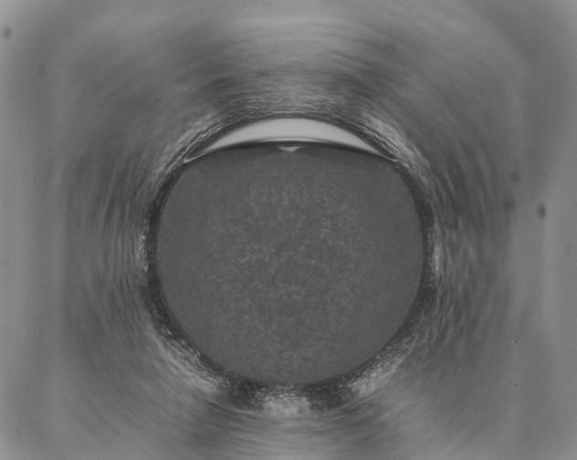 X0000086890258200704231135