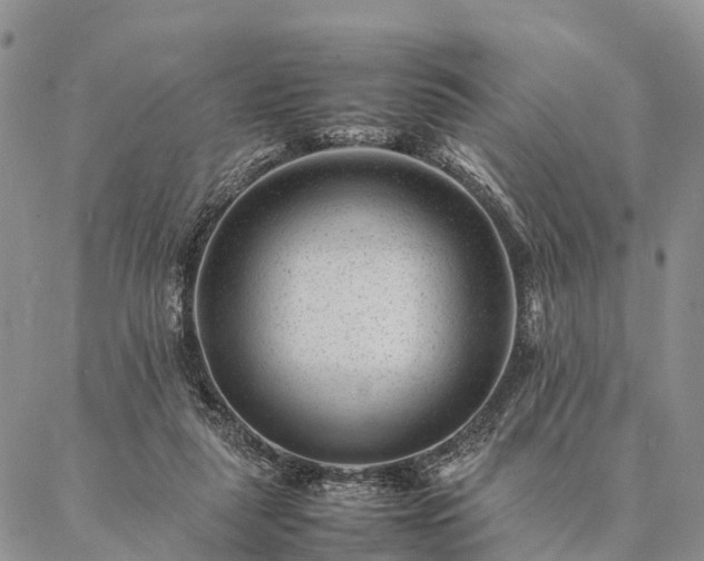 X0000086890259200704231135