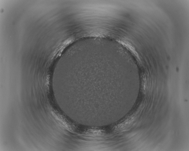 X0000086890260200704231135