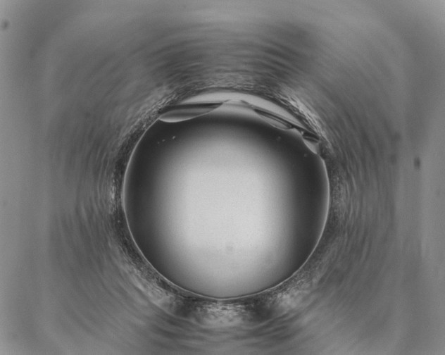 X0000086890261200704231135