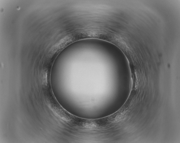 X0000086890262200704231135