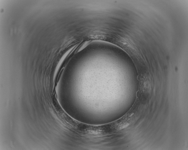 X0000086890263200704231135