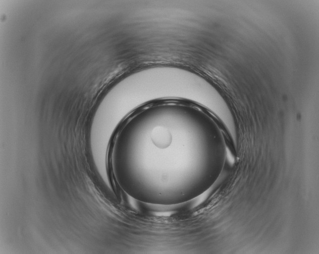 X0000086890264200704231135