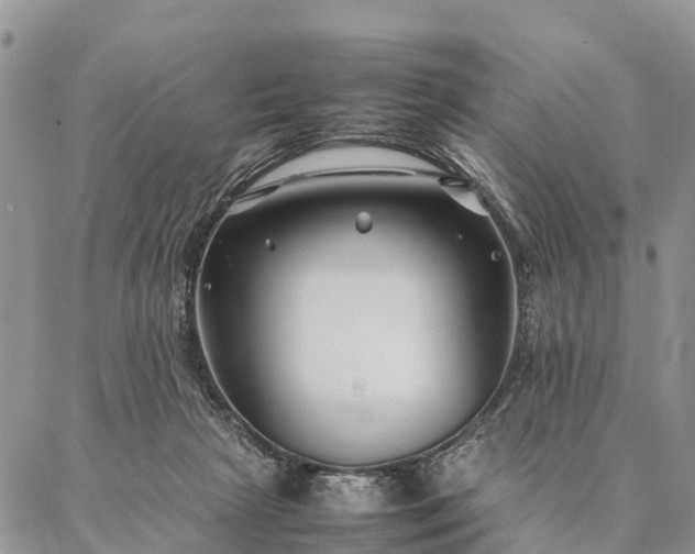 X0000086890265200704231135