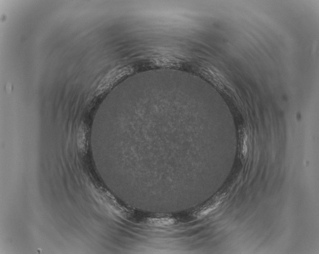 X0000086890266200704231135