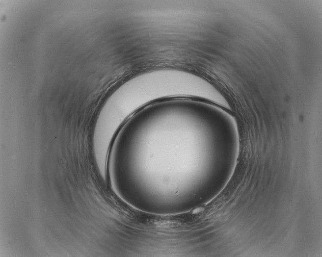 X0000086890268200704231135