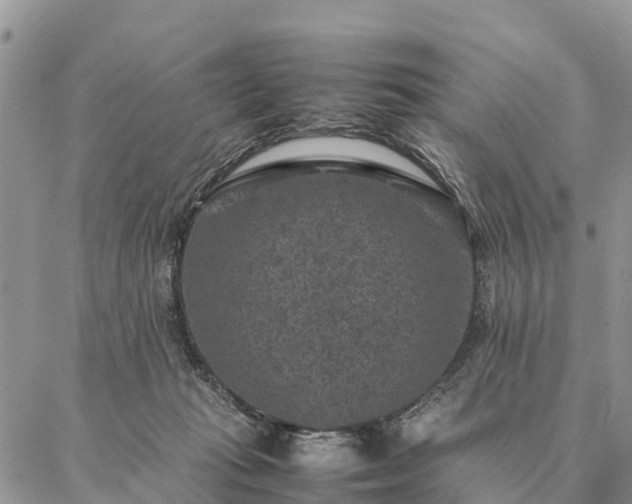 X0000086890269200704231135