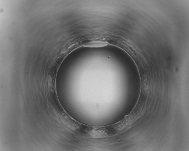 X0000086890270200704231135