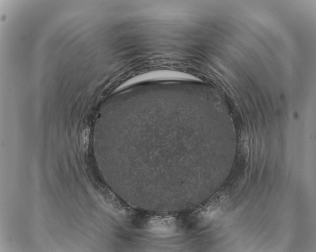 X0000086890271200704231135