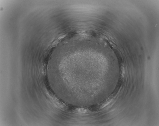 X0000086890272200704231135