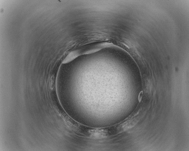 X0000086890273200704231135