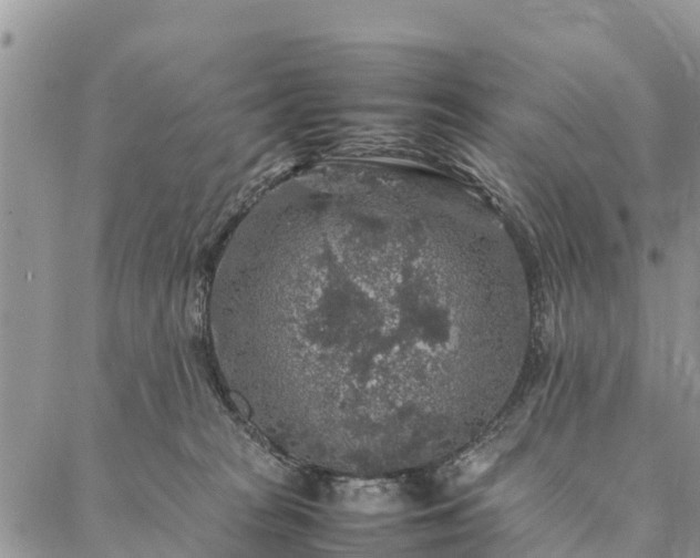 X0000086890277200704231136