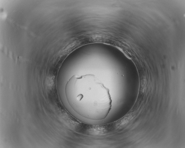 X0000086890278200704231136