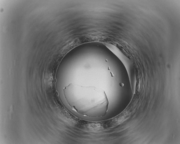 X0000086890279200704231136