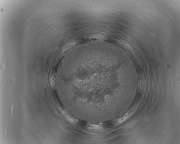 X0000086890285200704231136