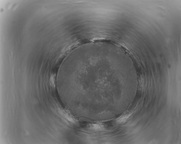 X0000086890286200704231136