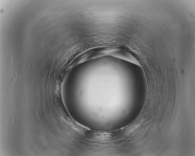 X0000086890288200704231136