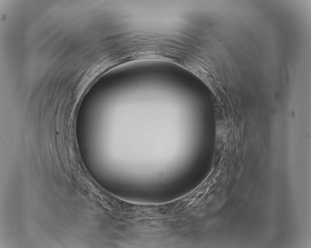 X0000086890289200704231135