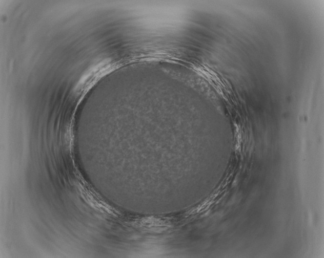 X0000086890290200704231135