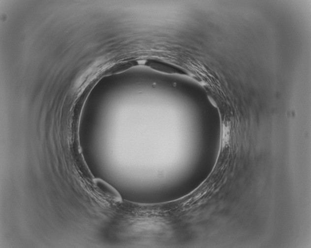 X0000086890291200704231135