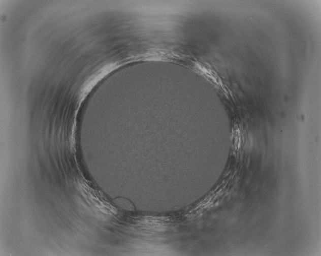 X0000086890292200704231135