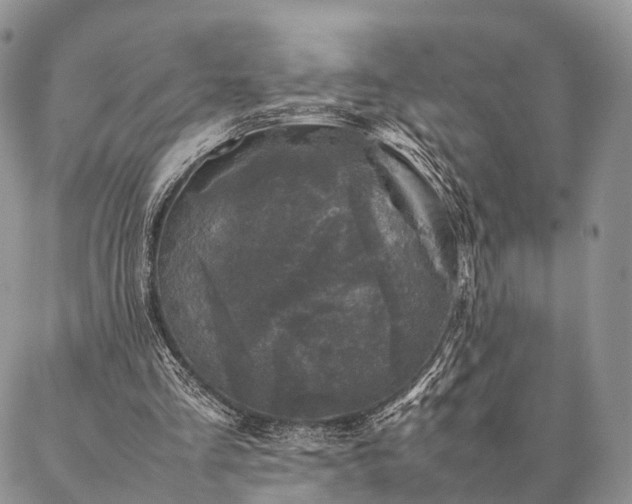 X0000086890293200704231135