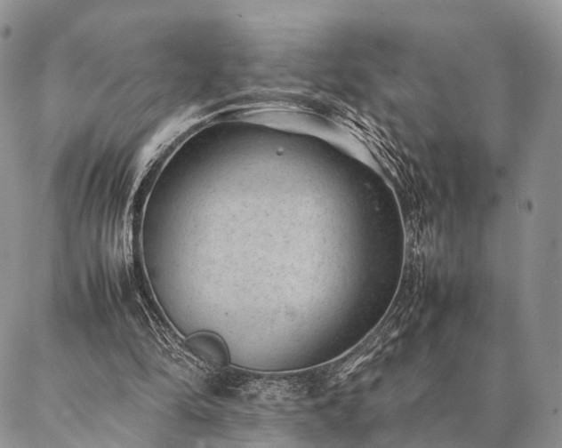 X0000086890294200704231135