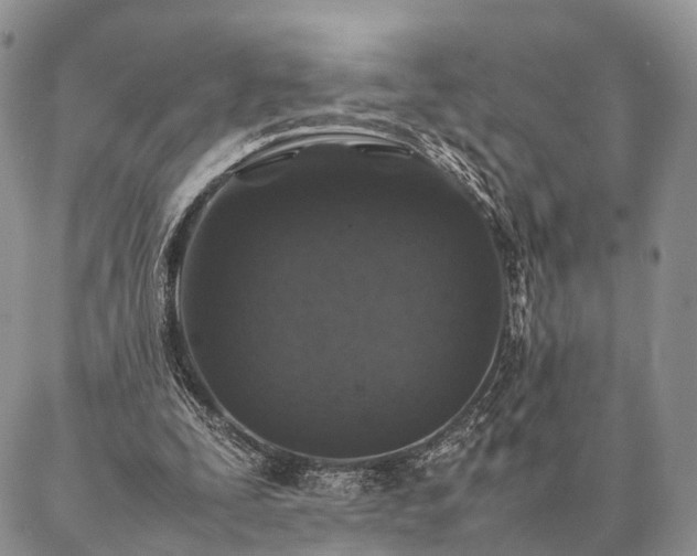 X0000086890295200704231135