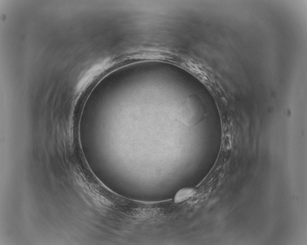 X0000086890296200704231135