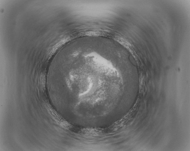 X0000086890297200704231135