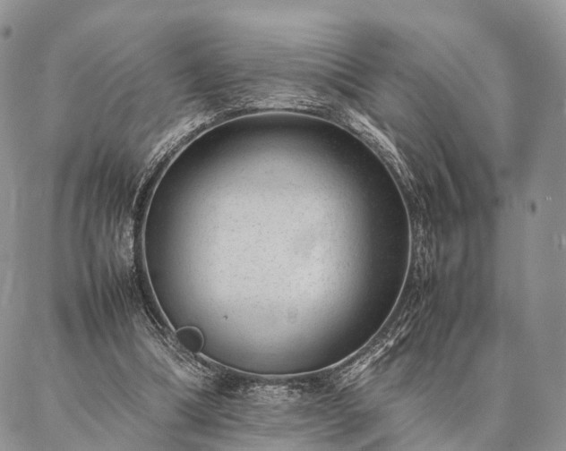 X0000086890298200704231135