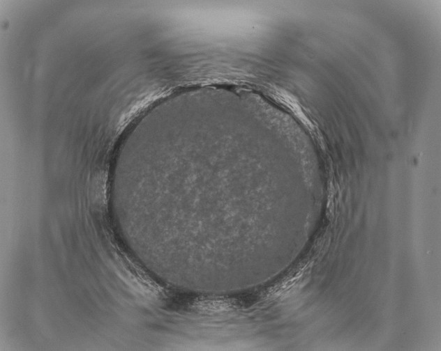 X0000086890299200704231135