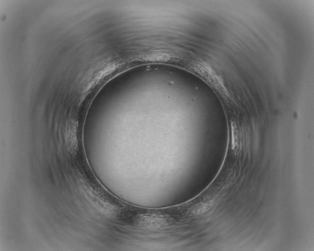 X0000086890300200704231135