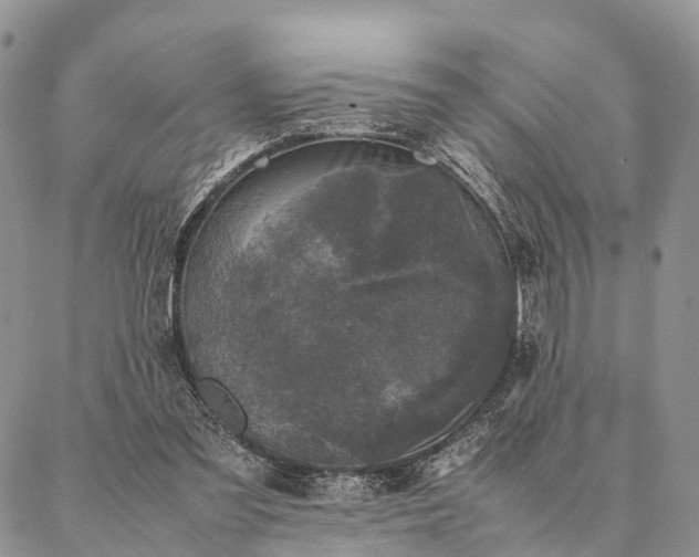 X0000086890301200704231135