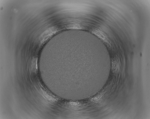 X0000086890302200704231135